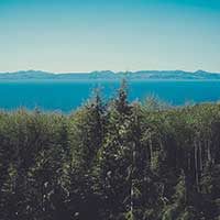 打爆别人短信的软件