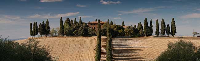 在线呼叫网页版